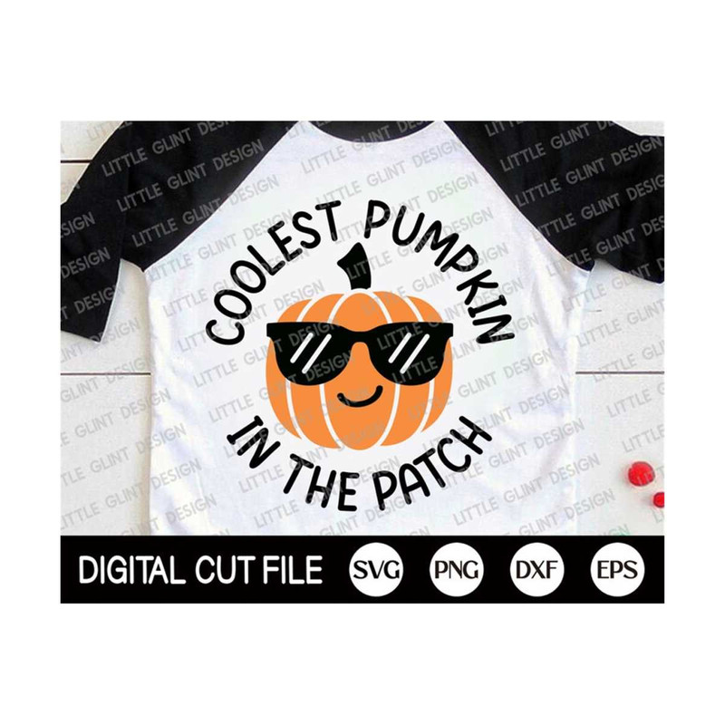 MR-13102023154231-coolest-pumpkin-in-the-patch-svg-halloween-svg-fall-svg-image-1.jpg