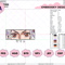 EDS_ANIME_OP172_EDS_ANIME_OP172.png