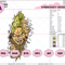 EDS_ANIME_DB36_EDS_ANIME_DB36.png