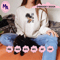 EDS_ANIME_DB35_swearshirt_Preview_7.png