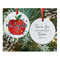 MR-13102023163538-custom-apple-teacher-christmas-ornaments.jpg
