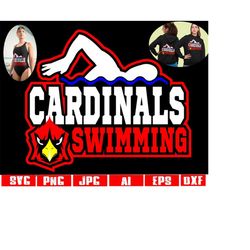 cardinals swimming svg cardinal swimming svg cardinals swimming png cardinals swim svg cardinal swim svg cards swim svg