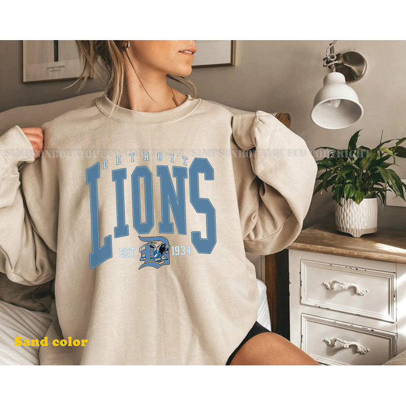 Vintage Detroit Lions Football Sweatshirt, Shirt for Men and Women, America Football Sweatshirt, Football Fan Gifts.jpg