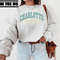 Charlotte NC Crew Neck Sweatshirt North Carolina Shirt Charlotte Shirt Oversized Sweatshirt Trendy Sweatshirt State Shirt.jpg