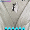 EDS_HLW_SP20_T1107-T2407_4_copy.png