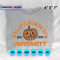 EDS_HLW_PK03_B1508-T1207_3_copy.png