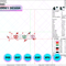 EDS_CH_BB46_EDS_CH_BB46-TS.png
