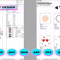 EDS_CH_ALL22_EDS_CH_ALL22-ts.png