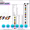 EDS_ANIME_ALL236_EDS_ANIME_ALL236.png