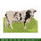 Dairy cow embroidery design, Dairy cow embroidery, logo design, Embroidery shirt, logo shirt, Instant download.jpg