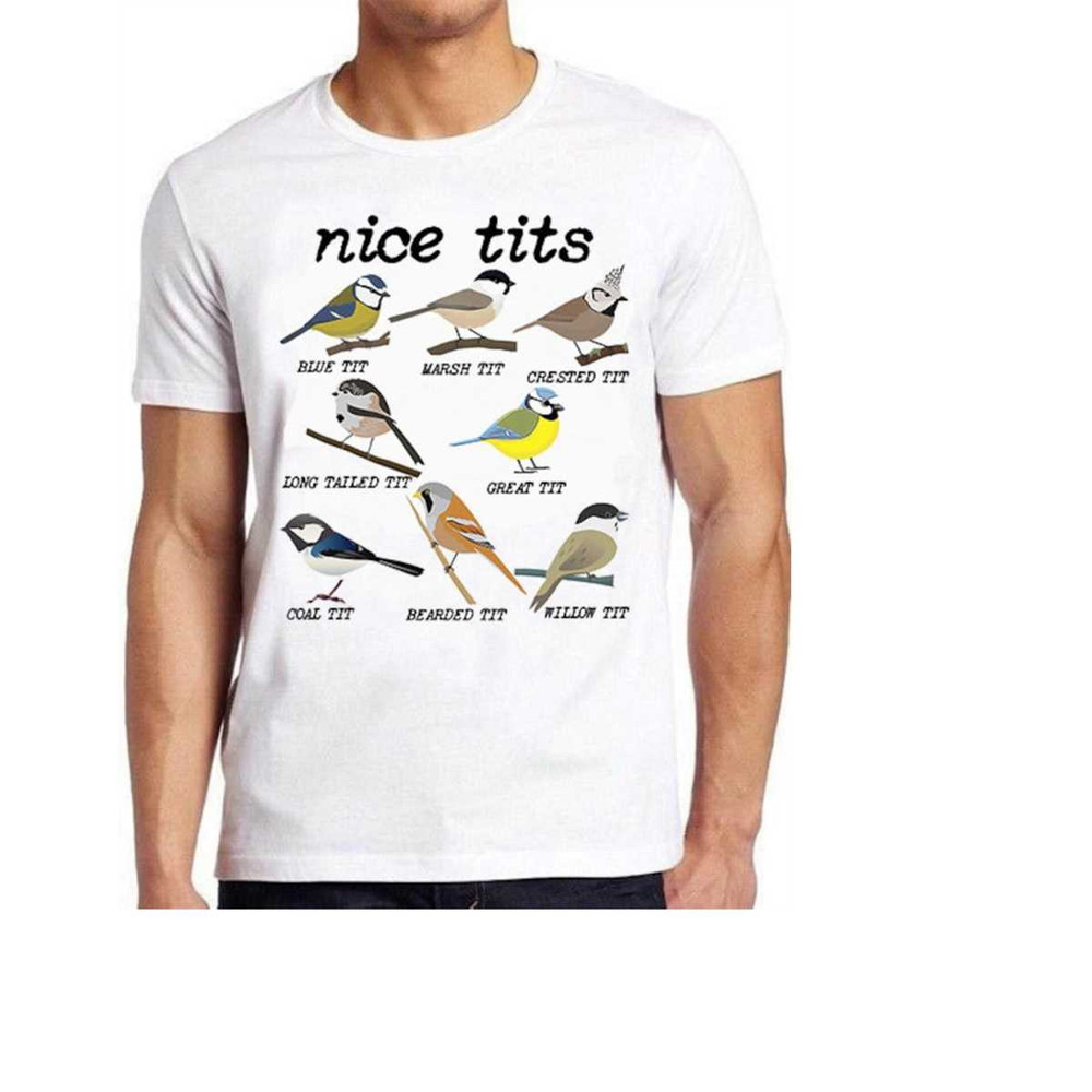 MR-141020239928-nice-tits-bird-watch-marsh-blue-crested-willow-tit-birds-funny-image-1.jpg