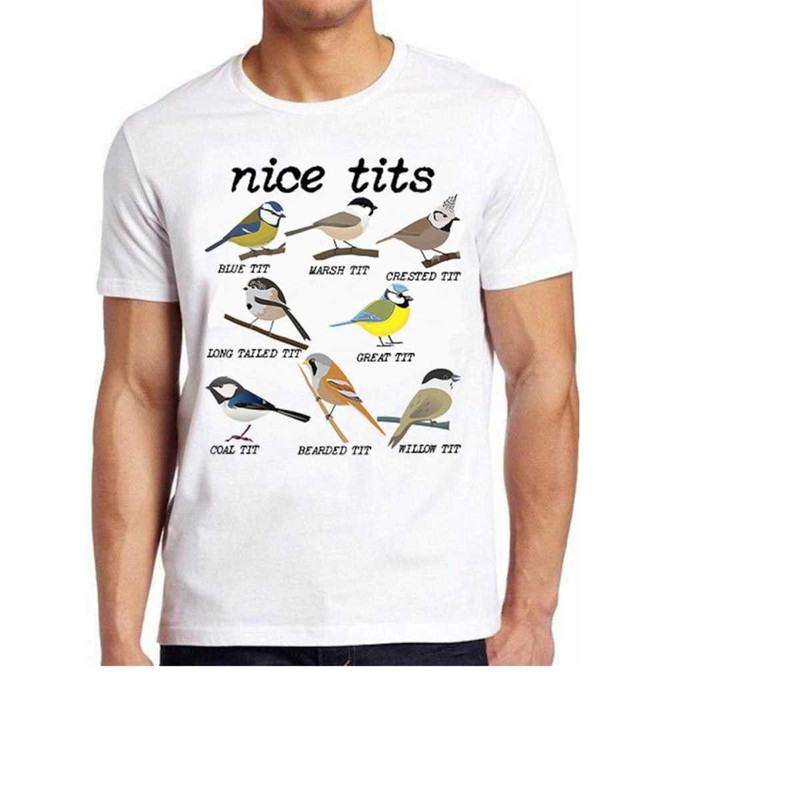 MR-141020239928-nice-tits-bird-watch-marsh-blue-crested-willow-tit-birds-funny-image-1.jpg