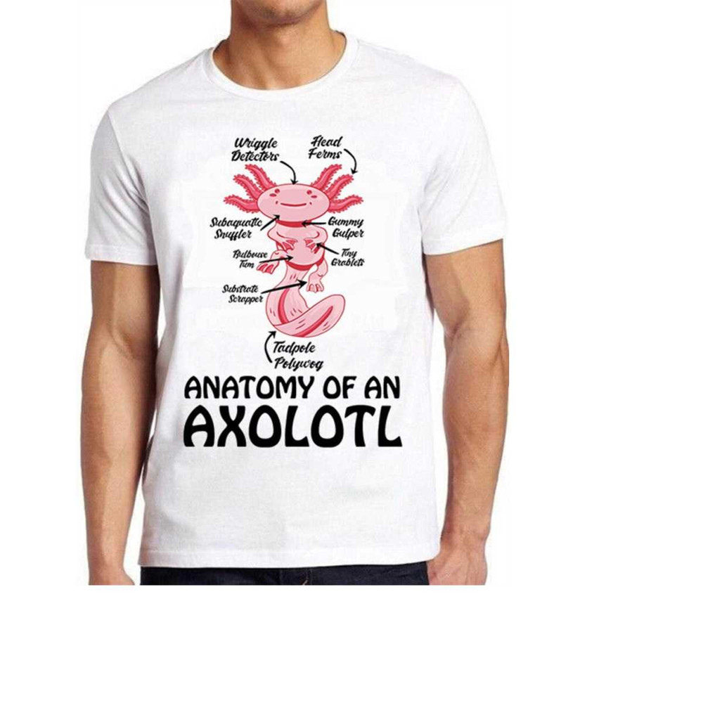 MR-1410202393615-anatomy-of-an-axolotl-kawaii-mexican-fish-ocean-style-gamer-image-1.jpg