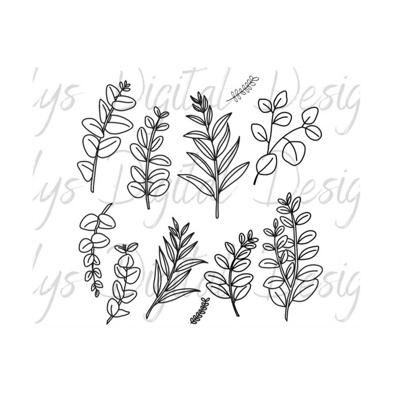 MR-14102023135014-eucalyptus-leaves-svg-png-image-1.jpg