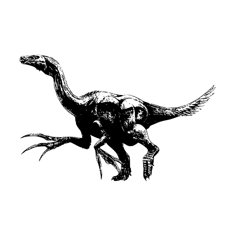 Jurassic Park Alphabet 08 Dinosaur-02.png