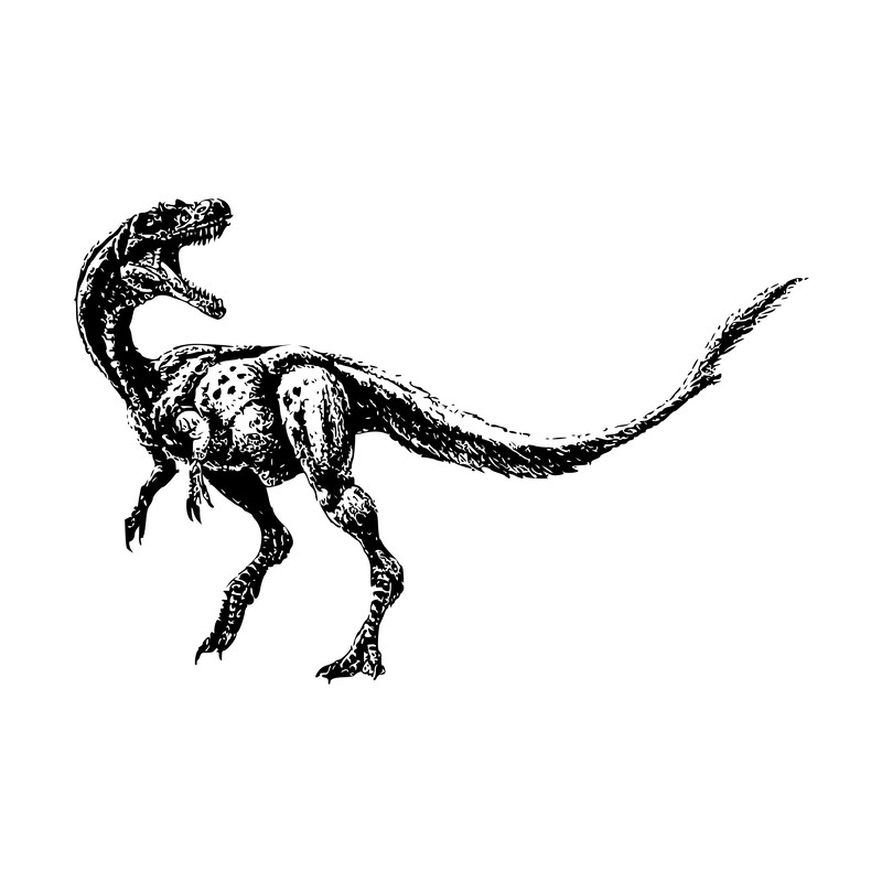 Jurassic Park Alphabet 08 Dinosaur-06.png