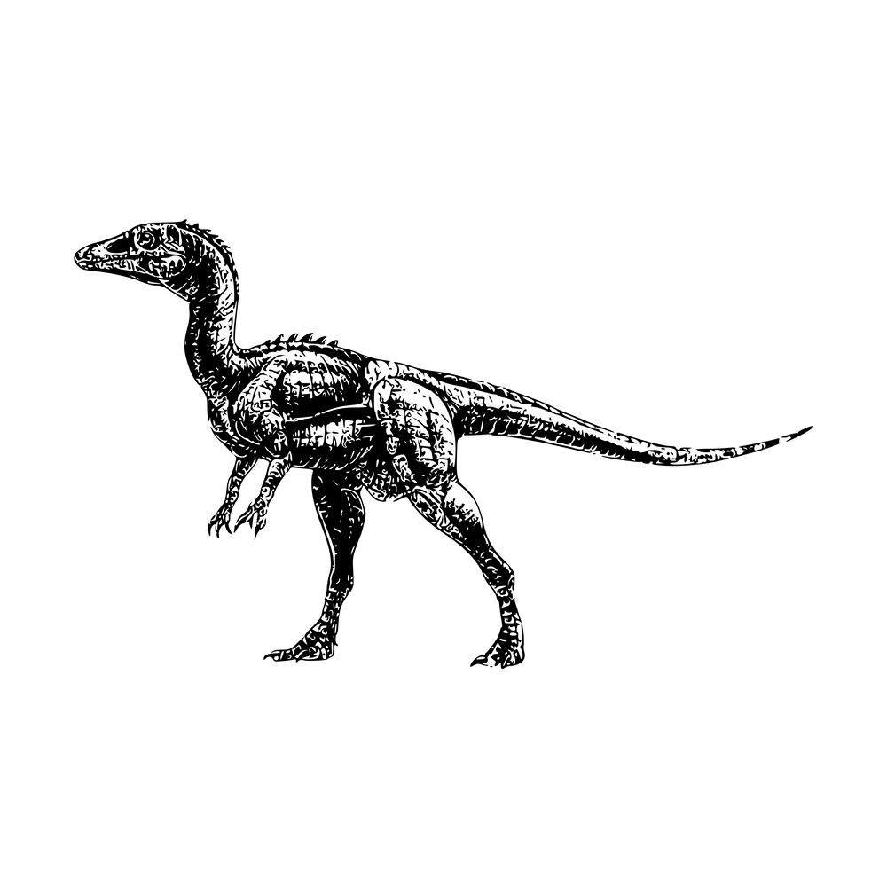 Jurassic Park Alphabet 08 Dinosaur-07.png