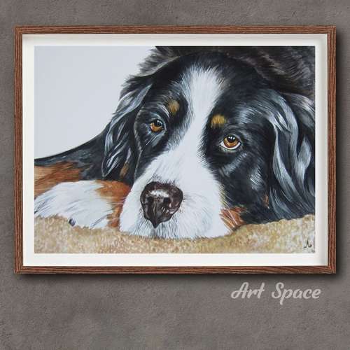Original watercolor painting **Bernese Mountain Dog** puppy - animal - pet, beautiful gift, home decoration, for office