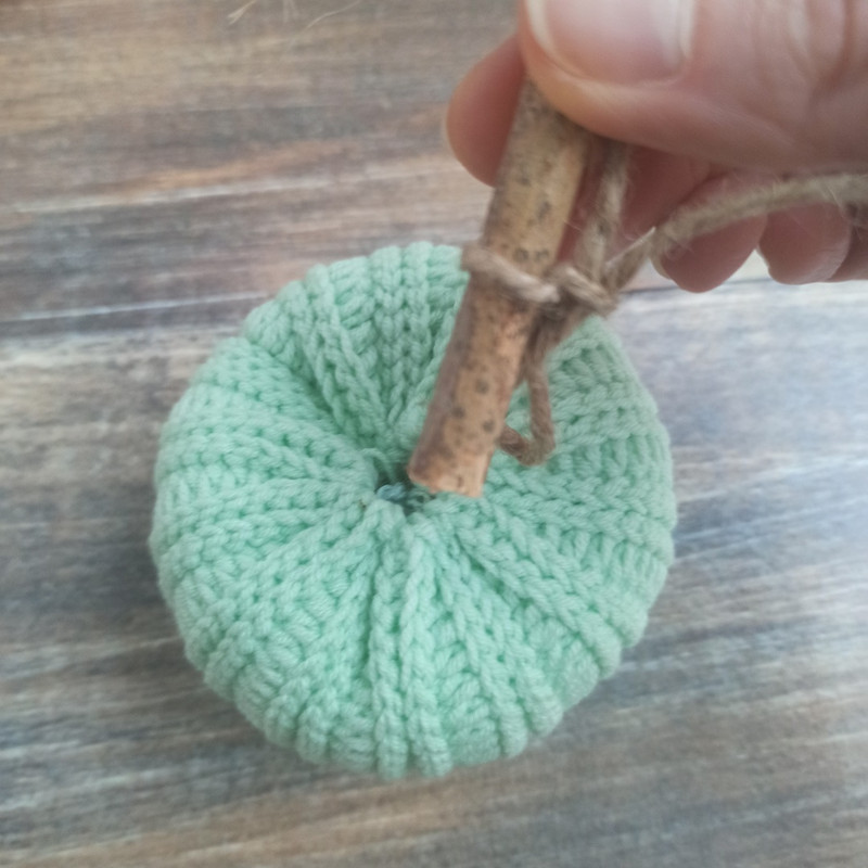 Pumpkin green 3 — копия.jpg