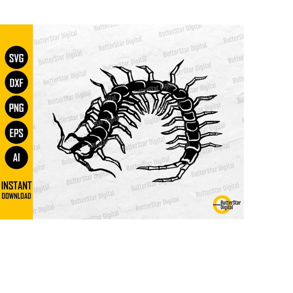MR-14102023212518-centipede-svg-insect-svg-animal-illustration-drawing-image-1.jpg