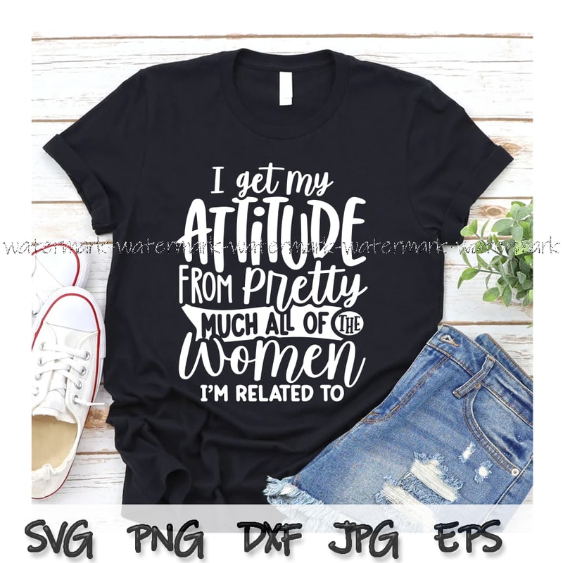 2221 I Get My Attitude funny.jpg