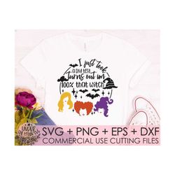 i just took a dna test turns out i'm 100 that witch / hocus pocus svg file dxf silhouette print vinyl cricut cutting svg