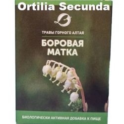 Ortilia Secunda, Borovaya matka 30g