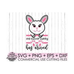 easter svg , easter bunny svg , the easter bunny has arrived svg ,  holiday svg ,  farmhouse svg , happy easter svg/clip