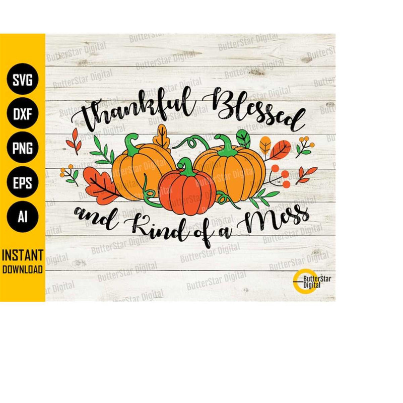 MR-1510202312453-thankful-blessed-and-kind-of-a-mess-svg-happy-thanksgiving-image-1.jpg
