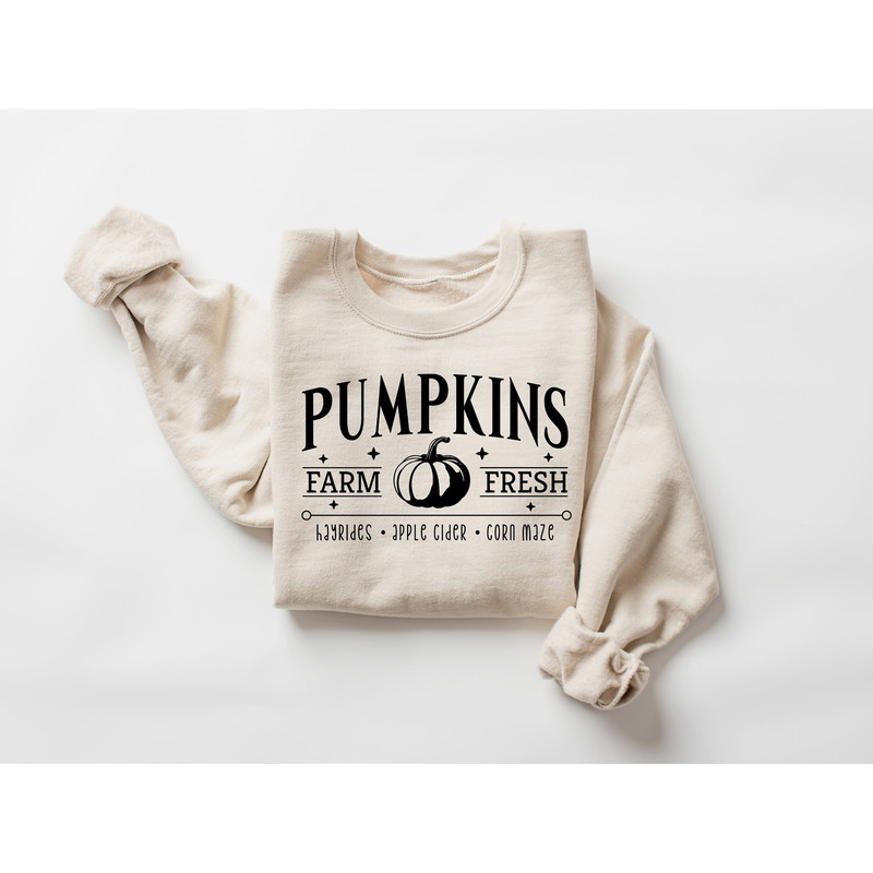 Pumpkins Farm Fresh Sweatshirt, Farmer Market Shirt, Fall Harvest Festival Shirt, Pumpkin Season Sweatshirt, Fall Season Sweater, Fall Gifts.jpg