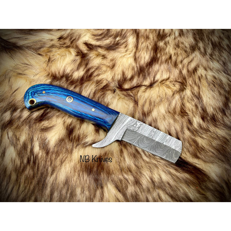 WhatsApp Image 2023-10-14 at 11.35.41 PM.jpeg