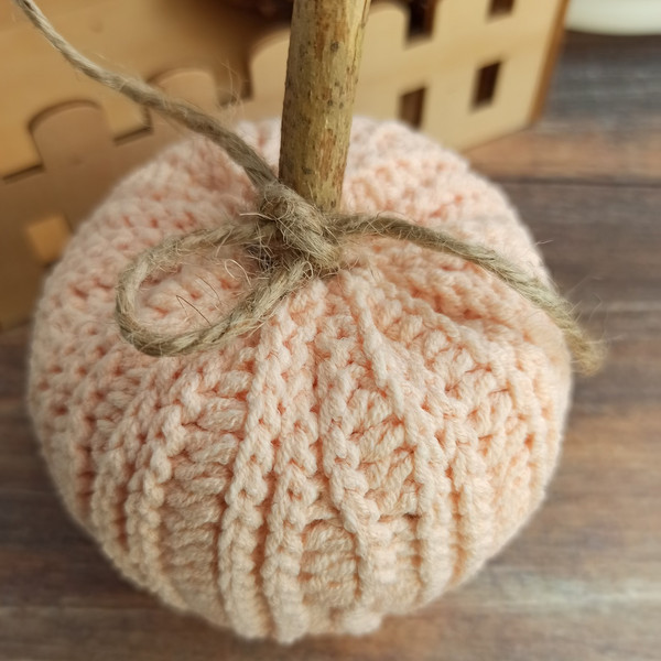 Pumpkin pink 2.jpg