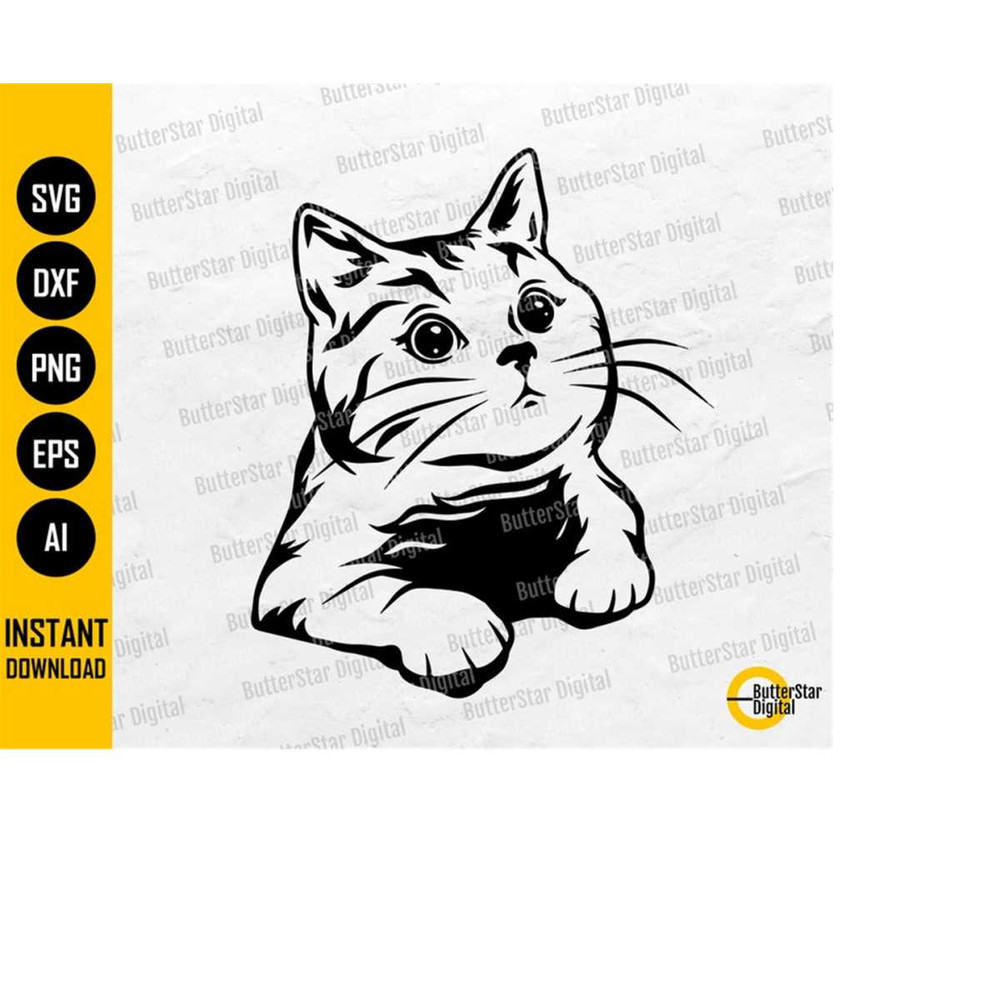 MR-1510202321822-curious-cat-svg-wondering-kitten-svg-peeking-pet-animals-image-1.jpg