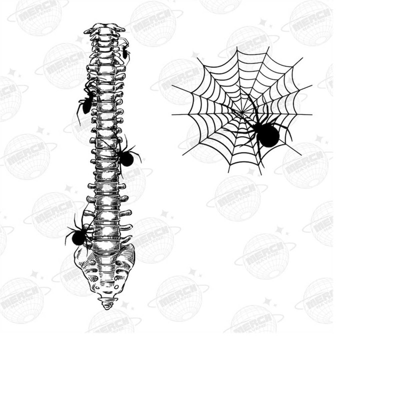 MR-1510202311497-spider-spine-png-spooky-skeleton-png-spooky-season-png-image-1.jpg
