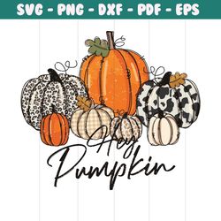 hey pumpkin thanksgiving svg leopard pumpkin svg file