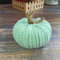 Pumpkin green 4.jpg