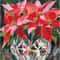 red poinsettia 1.jpg
