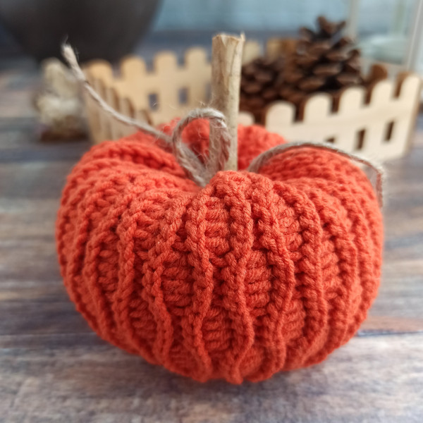 Pumpkin 6.jpg