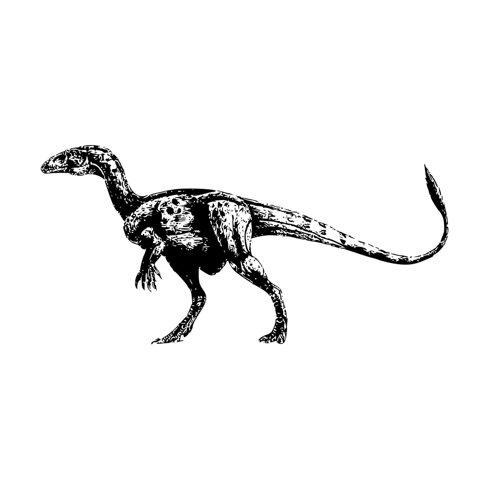 Jurassic Park Alphabet 08 Dinosaur-13.png