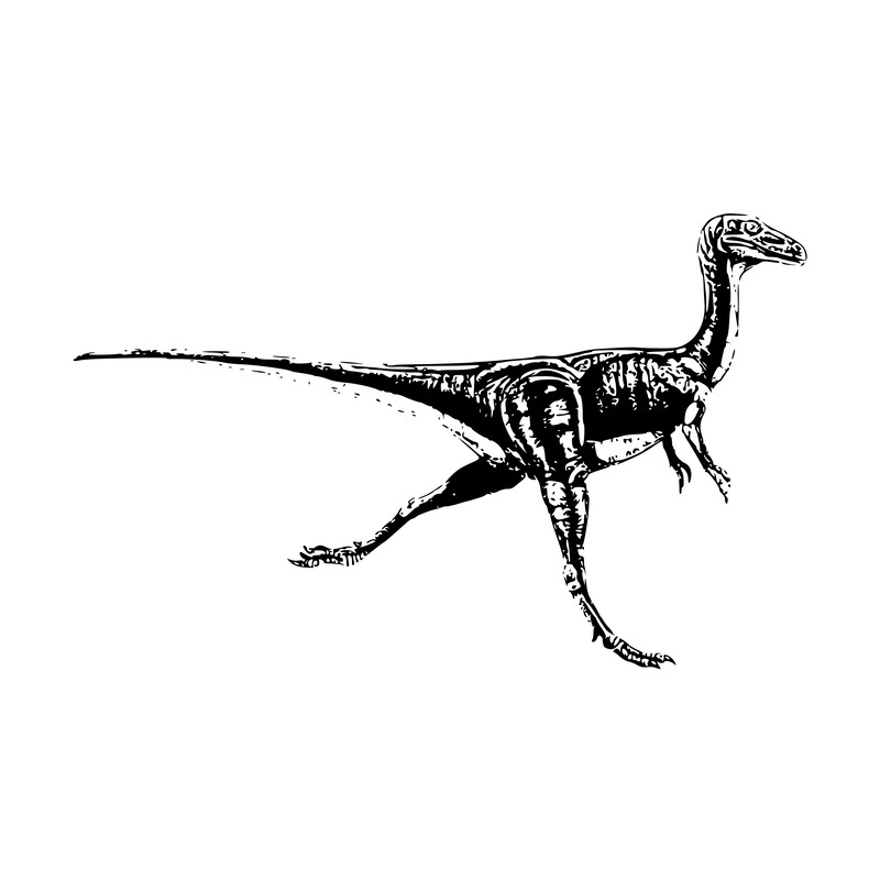 Jurassic Park Alphabet 08 Dinosaur-15.png