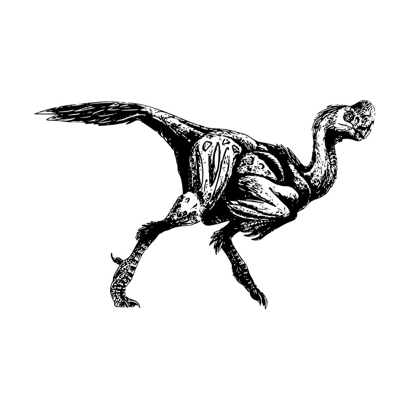 Jurassic Park Alphabet 08 Dinosaur-16.png