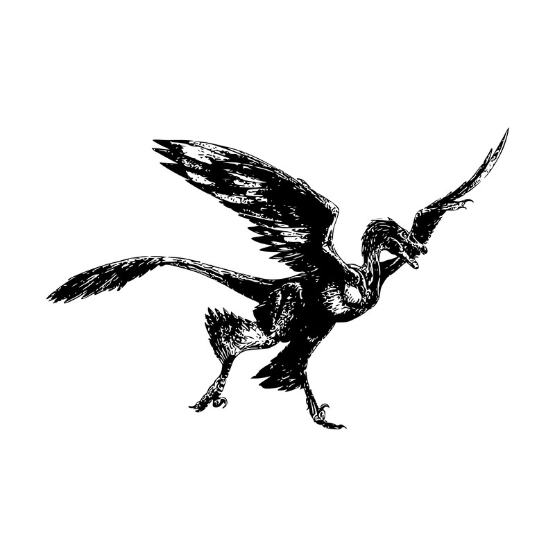 Jurassic Park Alphabet 08 Dinosaur-18.png