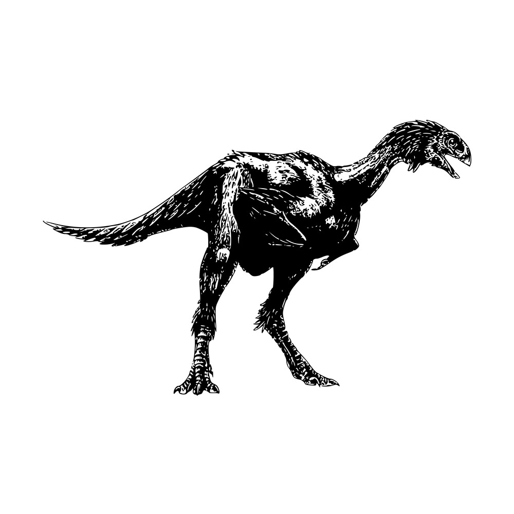 Jurassic Park Alphabet 08 Dinosaur-20.png