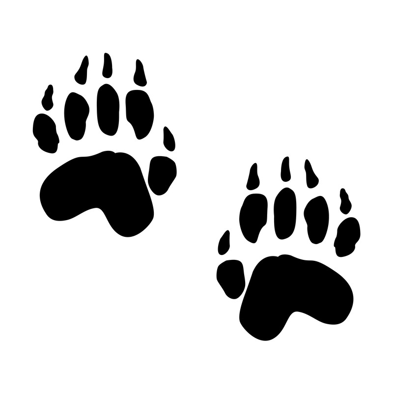 Jurassic Park Alphabet 08 Dinosaur-28.png