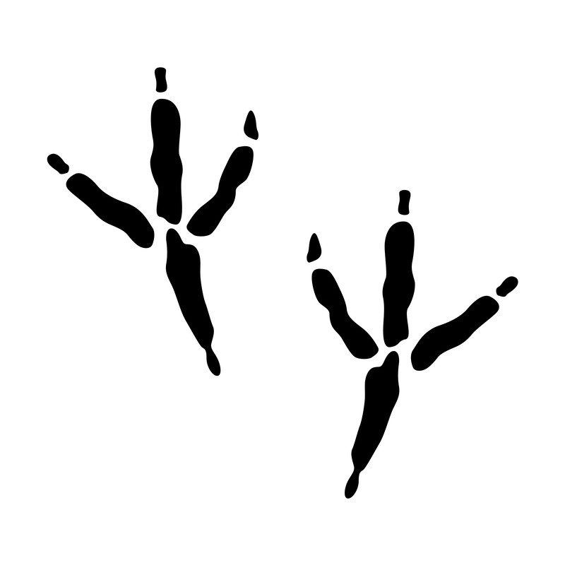 Jurassic Park Alphabet 08 Dinosaur-29.png