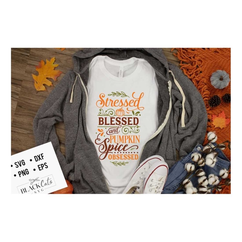MR-16102023164239-stressed-blessed-and-pumpkin-spice-obsessed-svg-pumpkin-spice-image-1.jpg