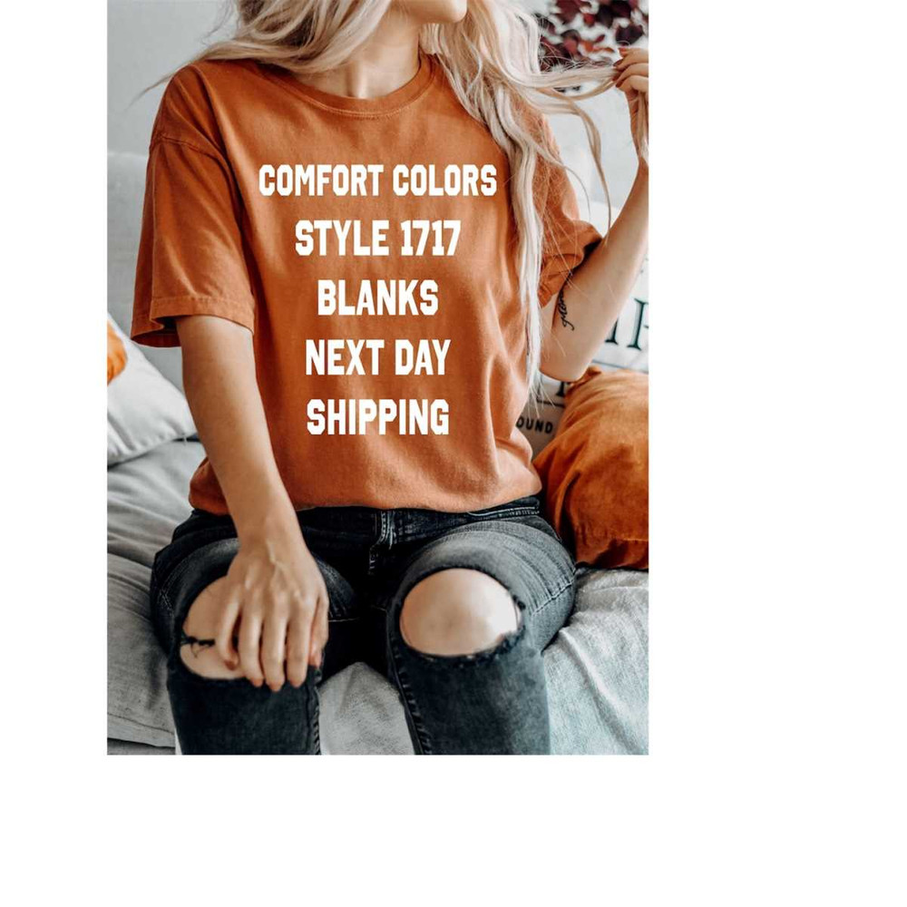 MR-16102023164644-blank-shirts-comfort-colors-1717-blank-comfort-color-tee-image-1.jpg
