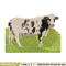 Dairy cow embroidery design, Dairy cow embroidery, logo design, Embroidery shirt, logo shirt, Instant download.jpg