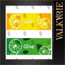 set of two cytric fruits banner, fruits, lemons, vector,