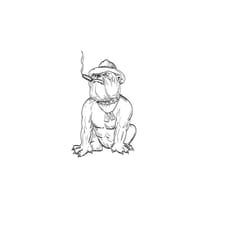 english bulldog svg, bulldog stencil svg, bulldogs svg, bulldog mascot svg & png, dog face svg, bulldog basketball bulld